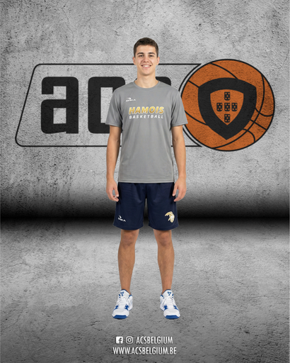T-shirt Hamois "Player" - Grey