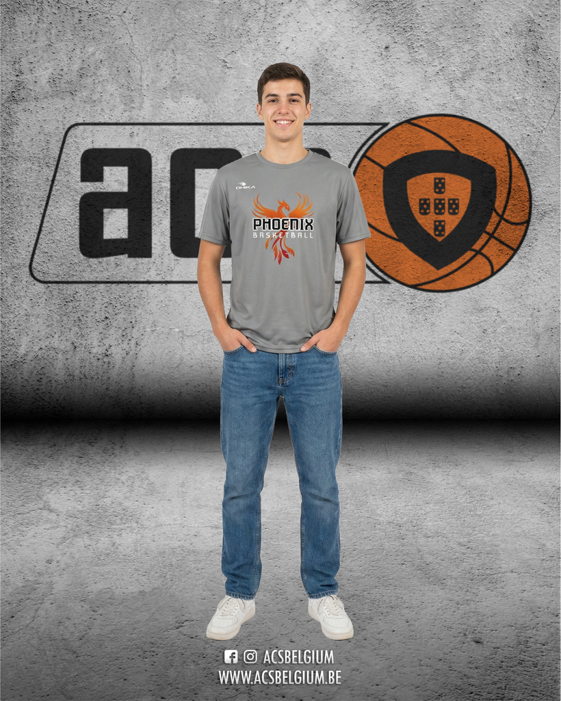 T-shirt Phoenix Villers-la-Ville "Fan" - Grey