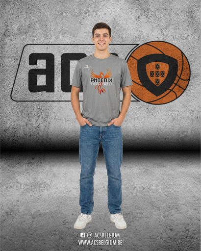 T-shirt Phoenix Villers-la-Ville "Fan" - Grey